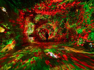 Infinity Room Dataland