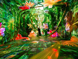 Dataland