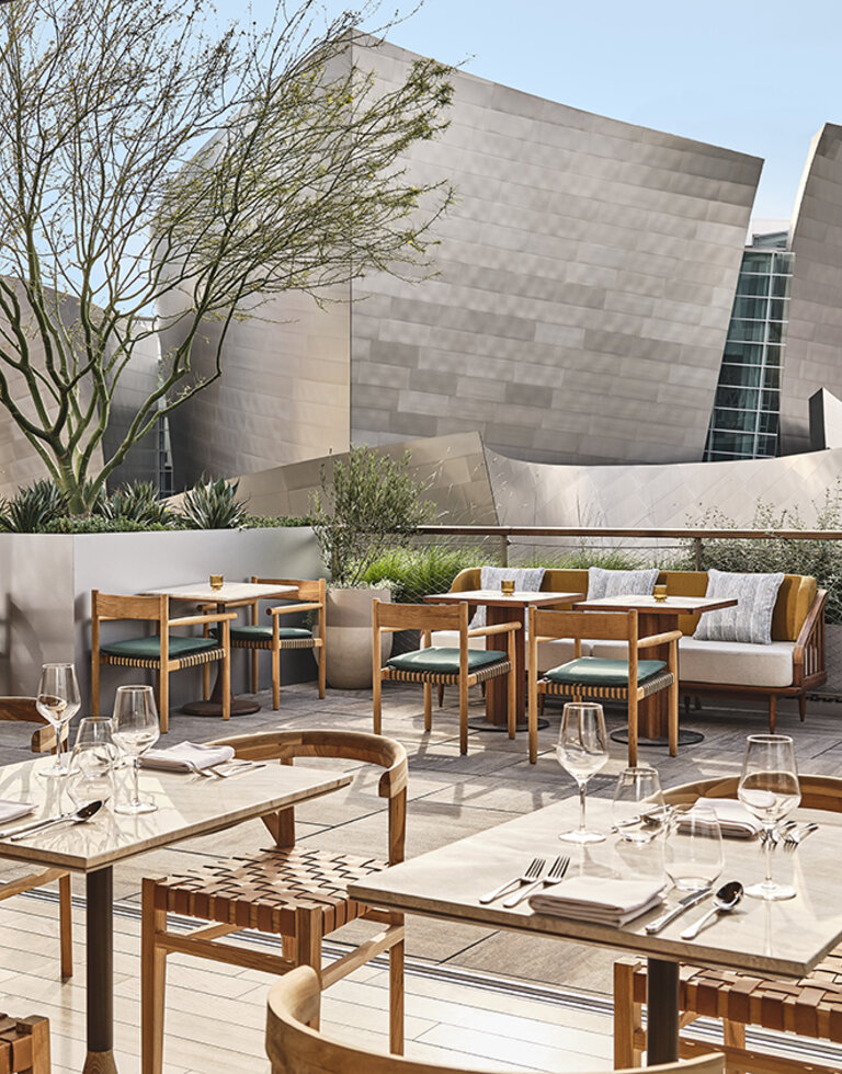 San Laurel with Walt Disney view