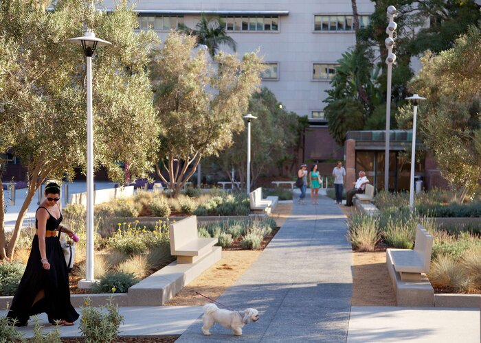 Woman Walking her Doc in a Courtyard DTLA