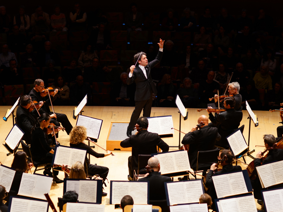 Walt Disney Concert Hall