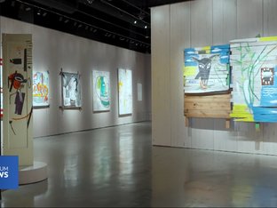 Basquiat on Spectrum News